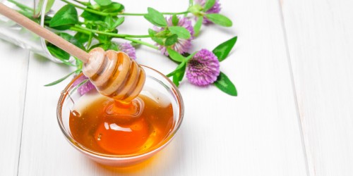 Red Clover To Help Treat Osteoporosis: What Does The Science Say?